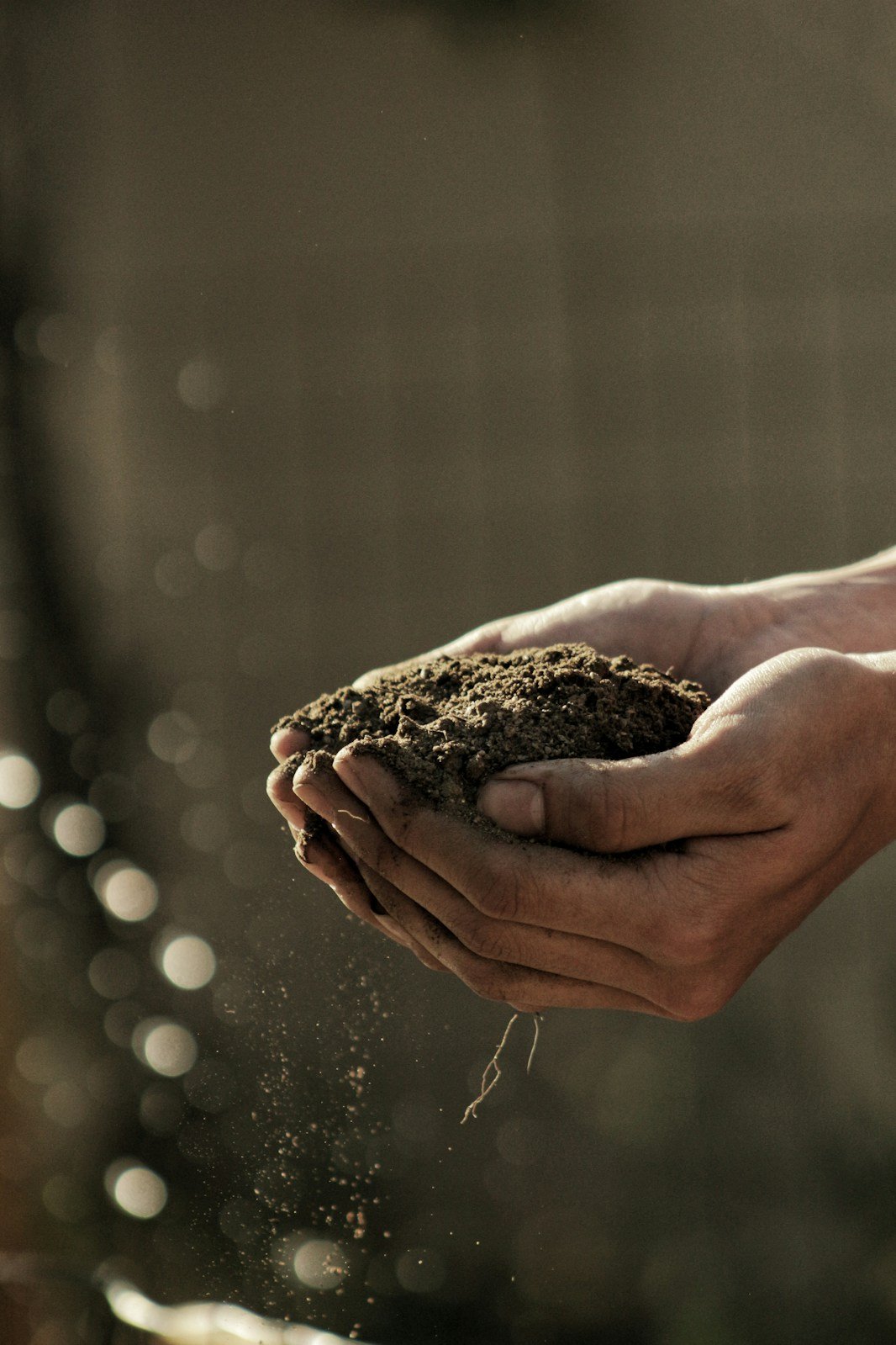 Hands Holding Soil
