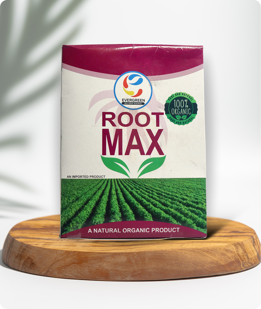 Root Max